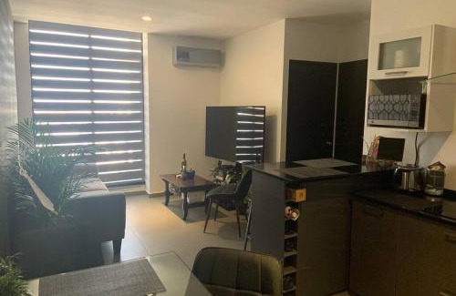 Monterrey Centro Apartment | Departamento en Edificio El Semillero