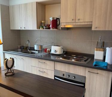 Temuco Apartment | Departamento en Temuco, Parque Oriente