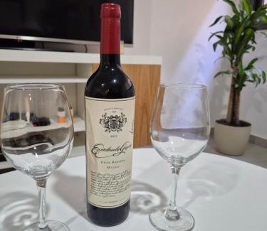 Godoy Cruz Apartment | Departamento entero Nuevo en Mendoza