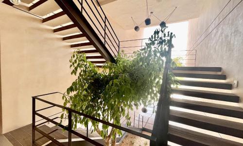 Merida Municipality Apartment | Departamento tipo Loft en Mérida exclusivo con terraza Temozon Departamento Burea