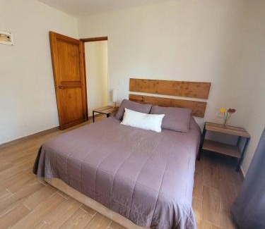 Santa Lucia Apartment | Depto. Pucón