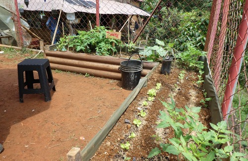 Cali Cabin | Desarrollo Biodiverso