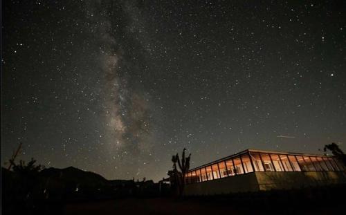 Almont House | Desert Oasis