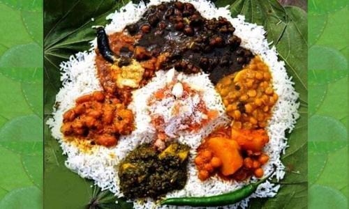 Palampur House | DHAULADHAR HOMESTAY PALAMPUR