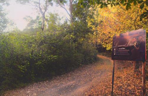 Hogsback Other | Diamond Vault Rustic Mountain Cabins