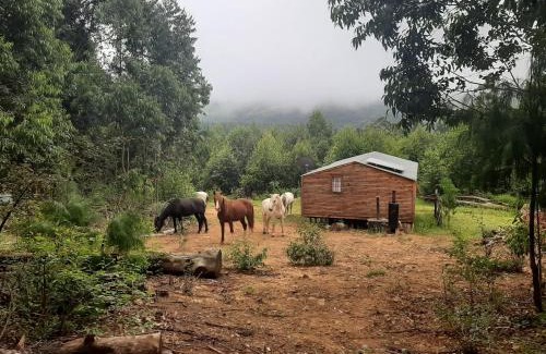 Hogsback Other | Diamond Vault Rustic Mountain Cabins