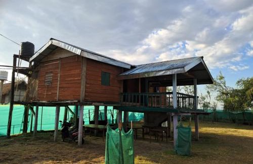 Doom Dooma Other | Dibru-Saikhowa Eco Camp