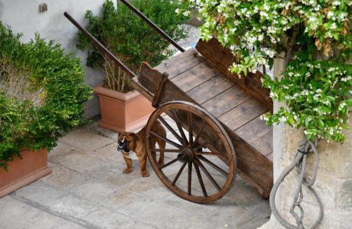 Minervino di Lecce House | Dimora Duchessina Suites de Charme