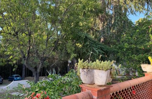 Peschici Apartment | Dimora nella Natura