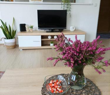 Konjic Apartment | Dina apartman Jablaničko jezero