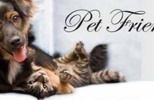 Chattanooga House | Discover Charm Cozy in the Heart of the City