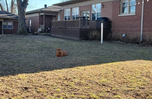 Russellville House | Discover Dardanelle charm, steps away from Arkansas River