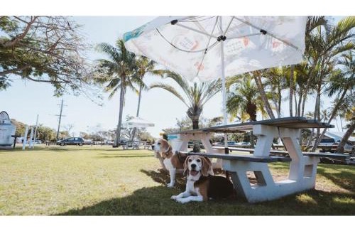 Bargara Other | Discovery Parks - Bargara