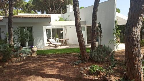 Los Franceses-la Vega House | Diseño y luz entre los pinos