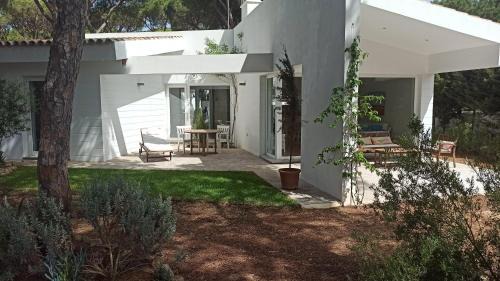 Los Franceses-la Vega House | Diseño y luz entre los pinos