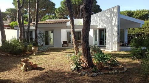 Los Franceses-la Vega House | Diseño y luz entre los pinos