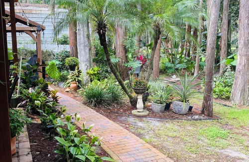 Land O' Lakes Apartment | Disney,Busch Gardens,Beautiful Beaches 1-bedroom studio, 15 minutes from Tampa.