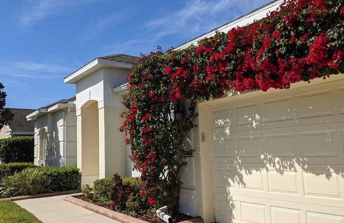 Highlands Reserve House | DISNEY THEMED! FREE Pool heat & BBQ, game room, costumes, toys, games, PS4!