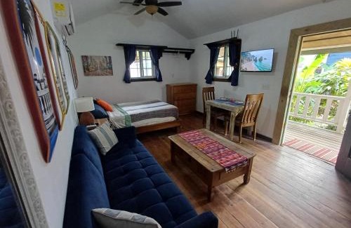 Carenero Island Apartment | Dive and Surf 3