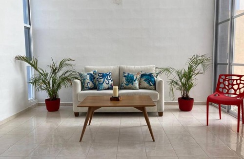 San Benito House | Divers Paradise