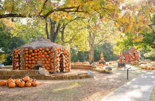 Inglewood House | Dog-Friendly Oasis in Nashville