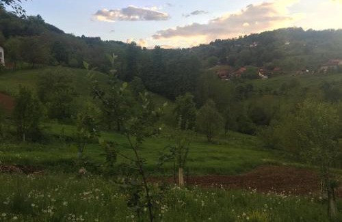 Bosnia Apartment | Dolores