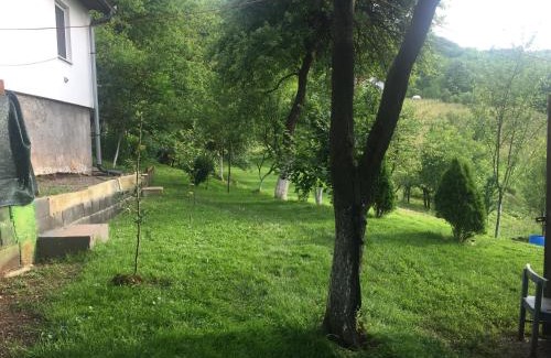 Bosnia Apartment | Dolores