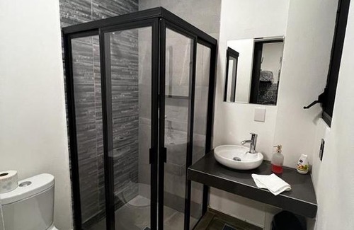 Dolores Hidalgo Cuna de la Independencia Nacional Apartment | Dolores Inn