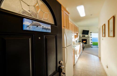 Shelter Cove Apartment | Dolphin by OceanviewHotTubs Oceanfront Shelter Cove Tesla