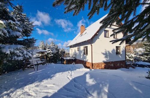 Rzeczka Ski Chalet | Dom nad Potokiem Sowa