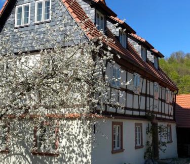 Pieszyce House | Dom Tkacza
