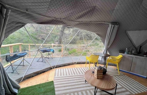 Dunlap Apartment | Dome 3 - Enchanted Forest