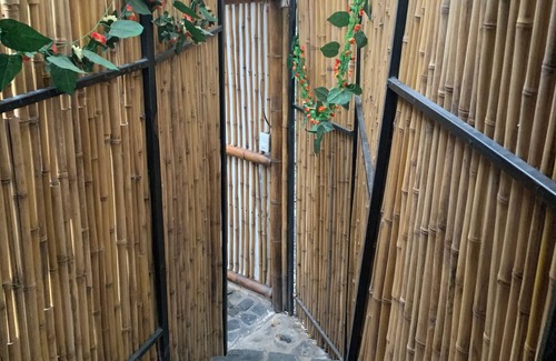 Utica House | "Domo Nativo: Adventure and Relaxation in the Heart of the Forest".