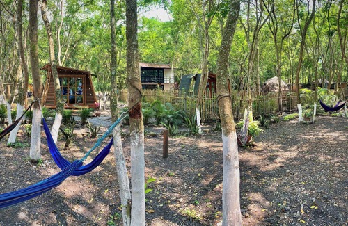 Utica House | "Domo Nativo: Adventure and Relaxation in the Heart of the Forest".