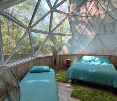 Melipeuco House | Domos Conguillío - Cabaña en el bosque