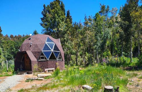 Valdivia Apartment | Domos Entre Luna y Bosque