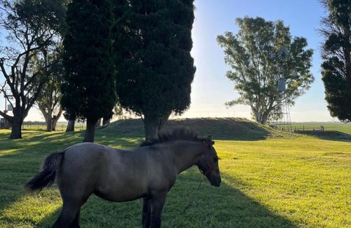 Partido de Arrecifes House | Don Alejandro Casa de campo Retiros Eventos