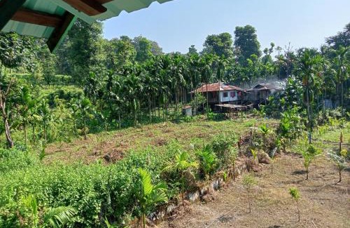 Alipurduar Apartment | DOOARS VELLEY HOME STAY
