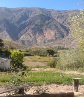 Maimara Ski Chalet | Dormir con llamas