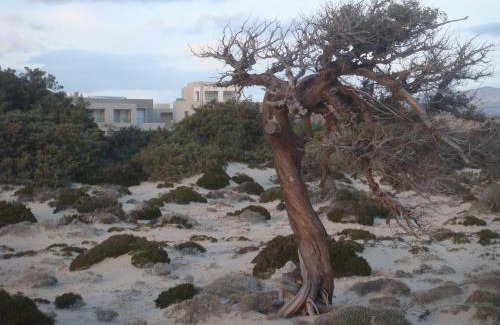 Elafonisos Hotel | Double Bay Beach Hotel