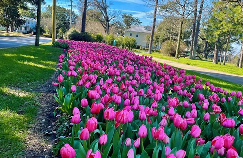 Fairhope Apartment | Down By The Bay, Just across the street from the Fairhope Pier