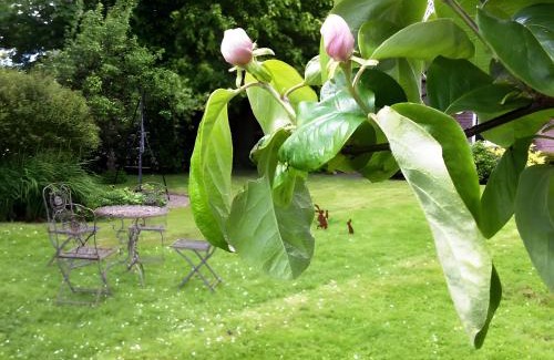 Neukirchen/Erzgeb Apartment | Druidenhain Hof Neudamm