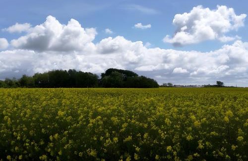 Neukirchen/Erzgeb Apartment | Druidenhain Hof Neudamm