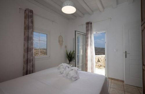 Plintri Apartment | Dual Apts with Pool Ideal for 10 Guests in Mykonos