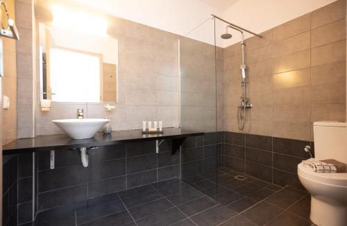 Plintri Apartment | Dual Apts with Pool Ideal for 10 Guests in Mykonos