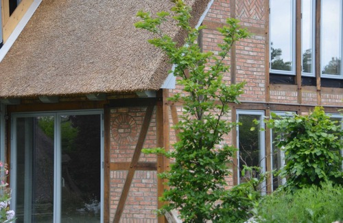 Grebin Apartment | Duck's Nest - Thatched Aspen House
