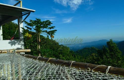 Minca House | Dunarinka