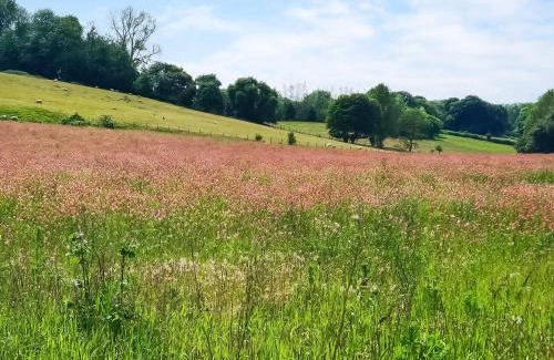 Stalisfield House | Dunnock - Uk50146