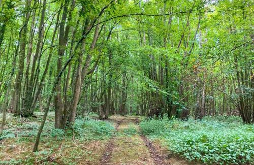 Stalisfield House | Dunnock - Uk50146