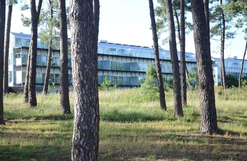 Isla de Arosa Apartment | Duplex in front of the sea.